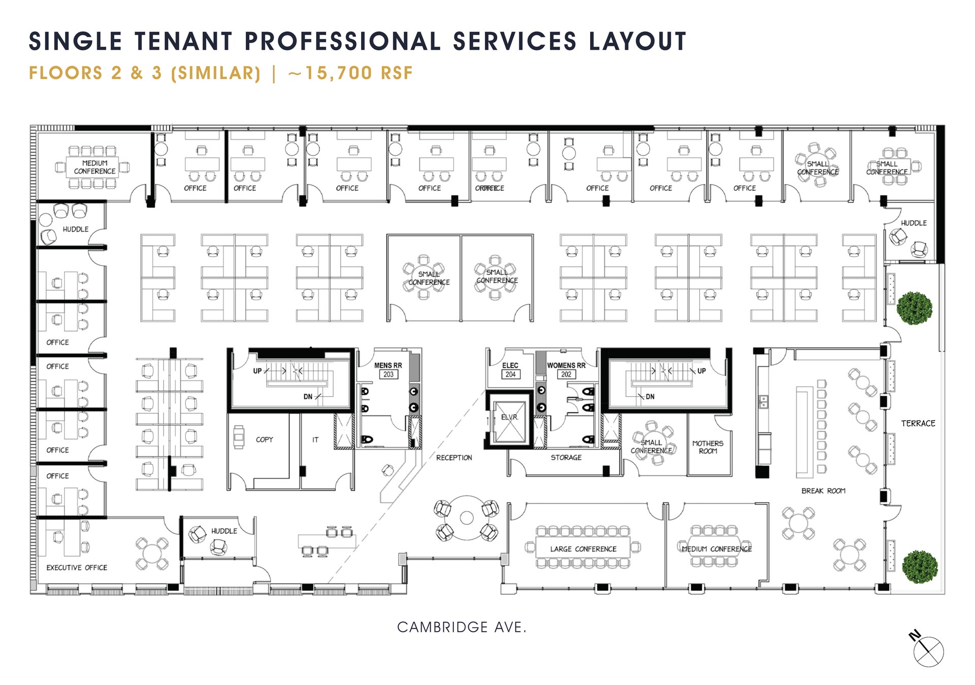 2nd Floor - Single Tenant - Professional Services